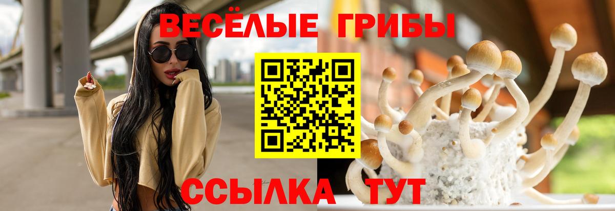 Черногорск  Галлюциногенные грибы ЛСД  Вход с VPN 